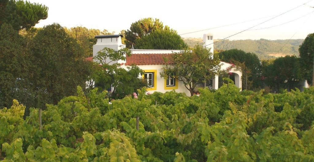 Casal Novo Pensionat São Martinho do Porto Exteriör bild